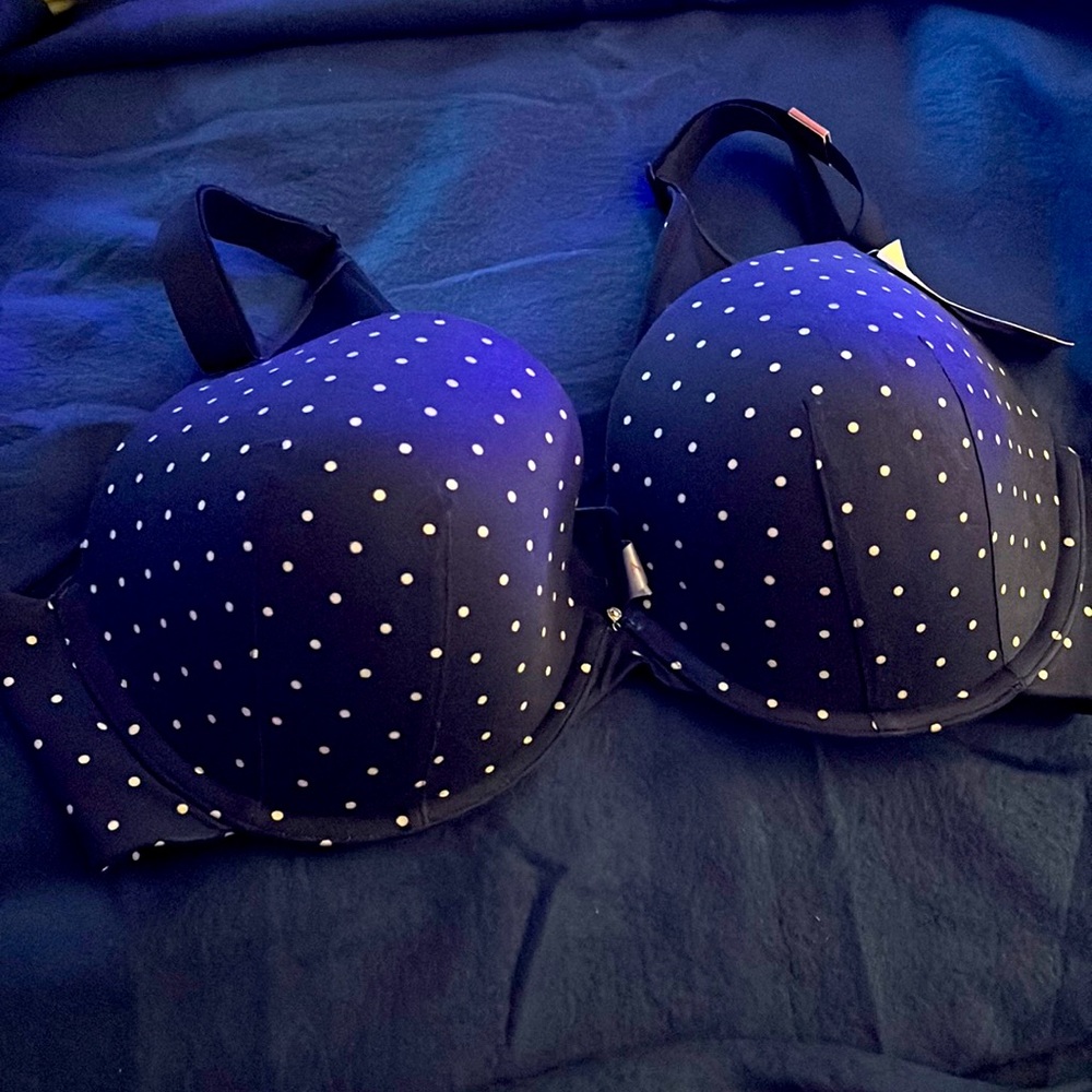 Lane Bryant Bra
